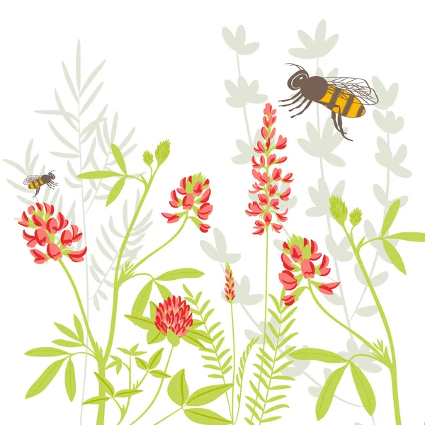 ハーブと蜂蜜の蜂と花のベクトルの背景 — ストックベクタ