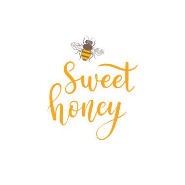 Vektör tatlı bal arı metinle. Arka plan, logo, Arıcılık ürünleri için etiket.
