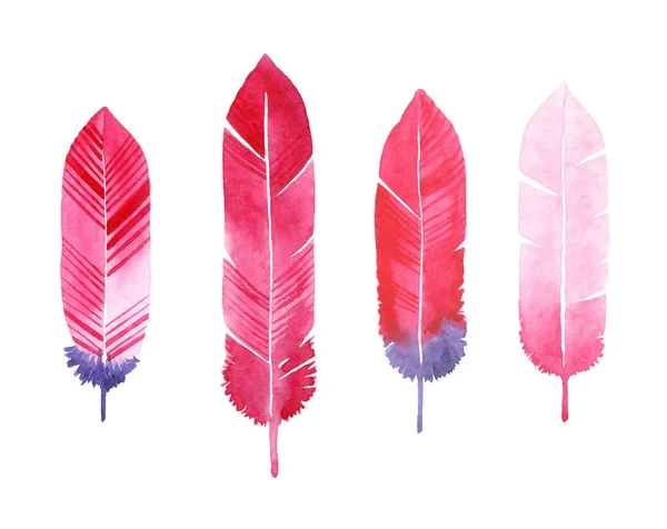 Watercolor Feathers Set Illustration — Stock Vector