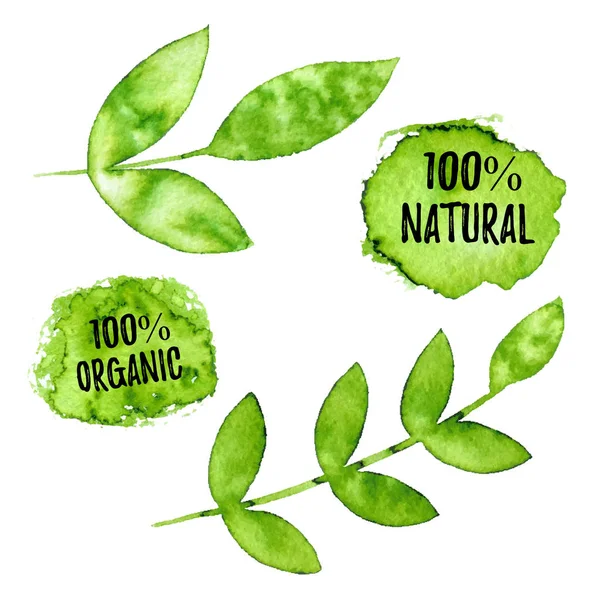 100 Natürliche Organische Natürliche Produktökologie Naturdesign Vektorgrüne Aquarellblätter Natürlich Organisch — Stockvektor