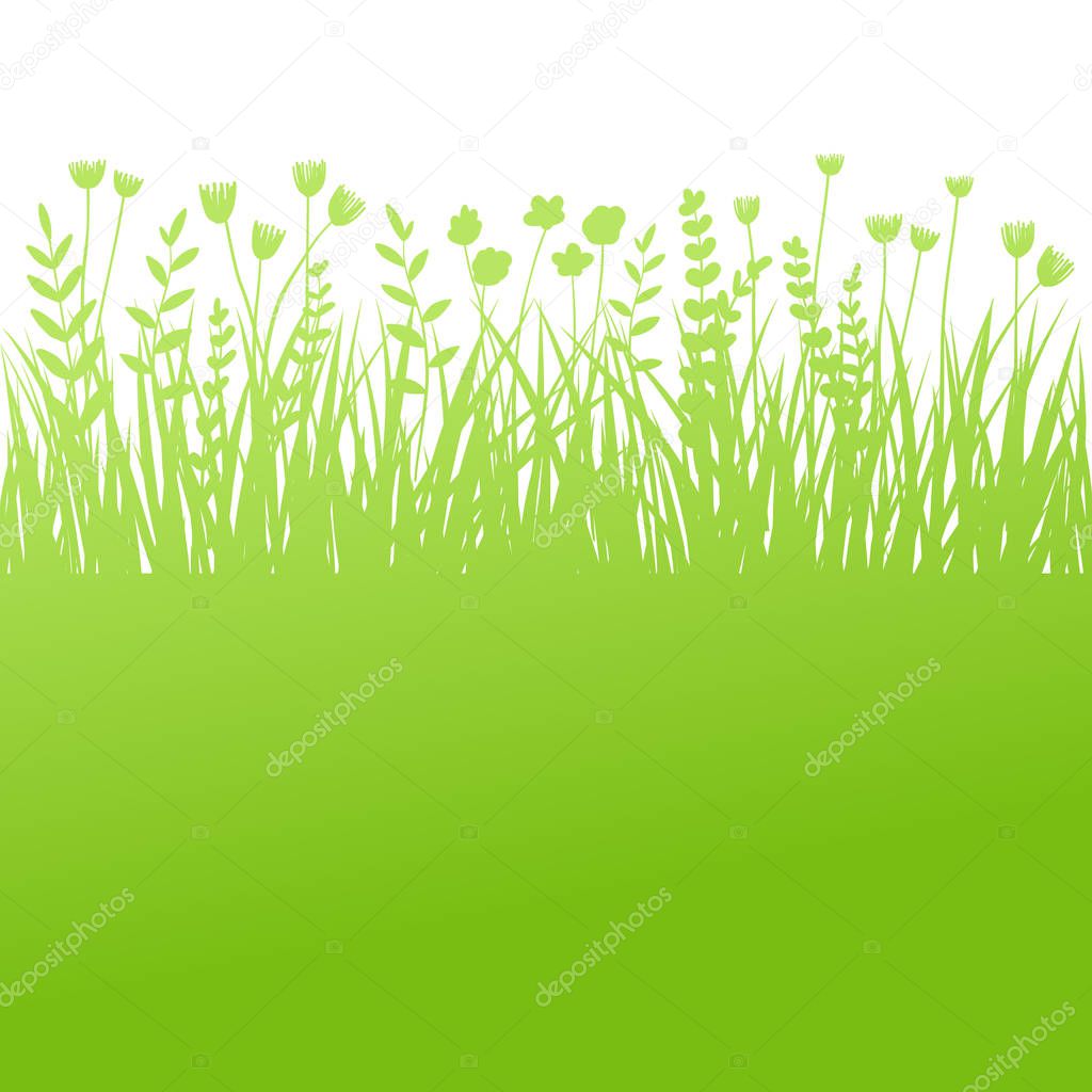 Summer green grass background for text. Vector eco, nature design banner, template