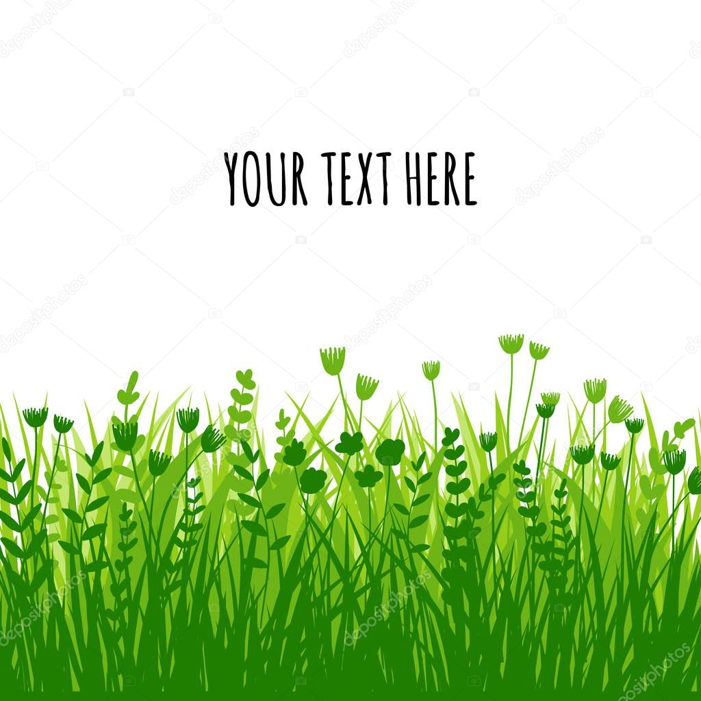 Summer green grass background for text. Vector eco, nature design banner, border