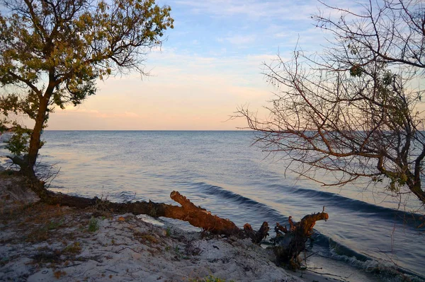 Seorang Gadis Dengan Baju Renang Pantai Sebuah Pulau Terpencil — Stok Foto