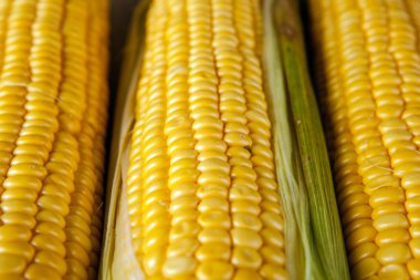 masada Mısır Mısır koçanı taze meyve