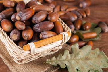 meşe palamutları meşe bir sepet içinde ve bir tablo üzerinde Kapat