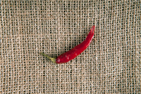 Jeden Ovoce Červené Čerstvou Chilli Papričkou Pozadí Pohledu Shora Vak — Stock fotografie