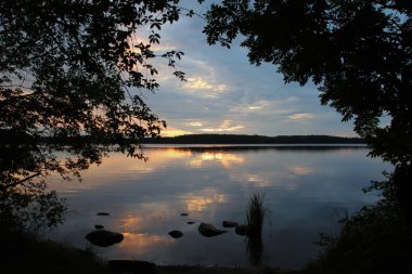 orman göl manzara ağaç bitki örtüsü içinde güneş battıktan sonra