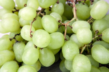 taze grup Yeşil üzüm kiş-miş üzüm yakın çekim