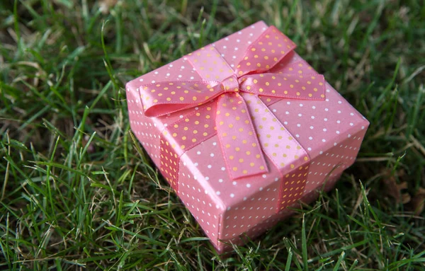 緑の芝生の上に弓があるピンクのギフトボックス — ストック写真