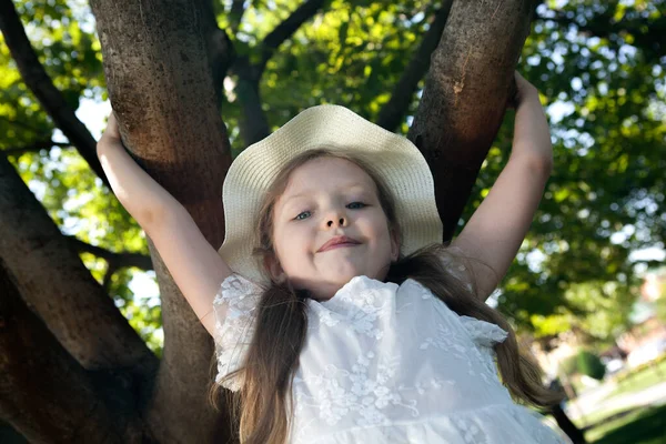 Маленькая Девочка Белом Платье Панама Сидит Дереве Портрет — стоковое фото
