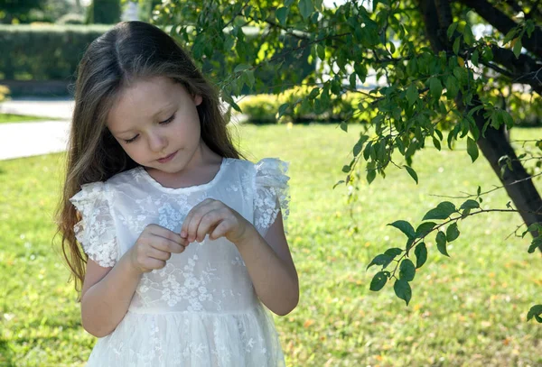 Маленькая Девочка Белом Платье Исследует Листья Возле Дерева — стоковое фото