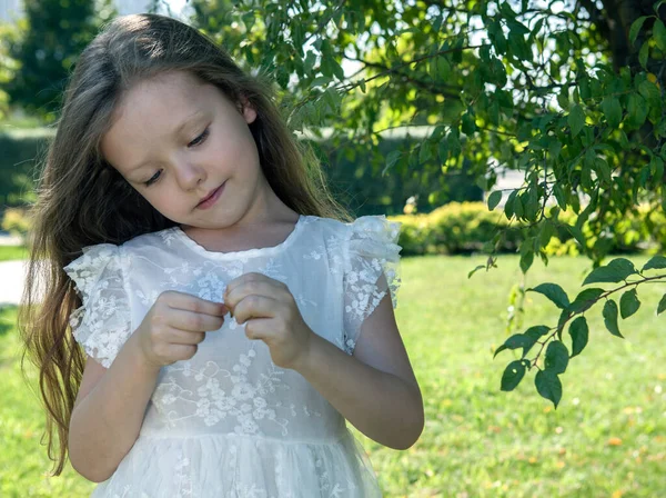 Маленькая Девочка Белом Платье Исследует Листья Возле Дерева — стоковое фото