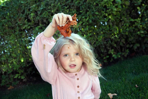Маленькая Девочка Розовом Платье Держит Листья Зеленом Фоне — стоковое фото