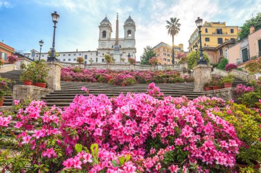 İspanyol Merdivenleri ile azaleas gündoğumu, Roma, İtalya
