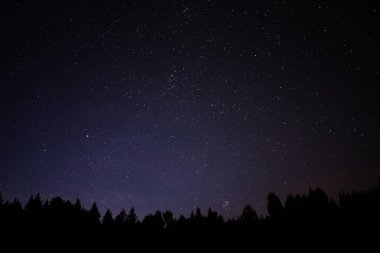 Hedmark ilçe Norveç'te NightSky forground ağaçlarda ile.