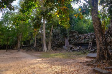 Beng Mealea Tapınak, Siem Reap, Kamboçya, Ocak 2018