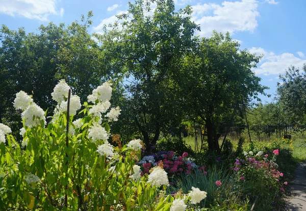 Moskova doğa, Temmuz 2018