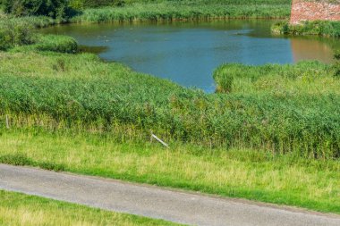 yol ile büyük gölet