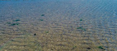 deniz arka plan veya doku su birikintisi