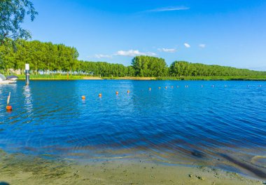 Göl manzaralı bir su manzara plaj ve orman manzaralı