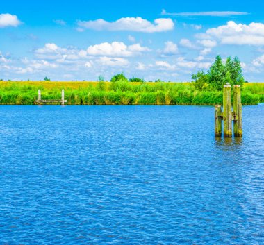 Polonyalılar, mavi su Nehri yatay