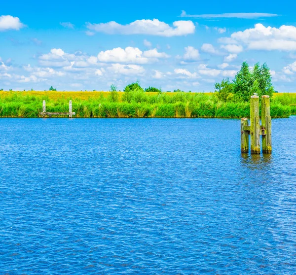 Polonyalılar, mavi su Nehri yatay