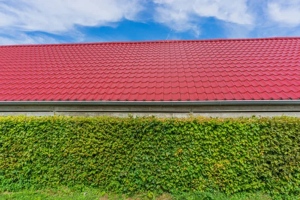 Gebäude Mit Roten Dachziegeln Und Hecke — Stockfoto
