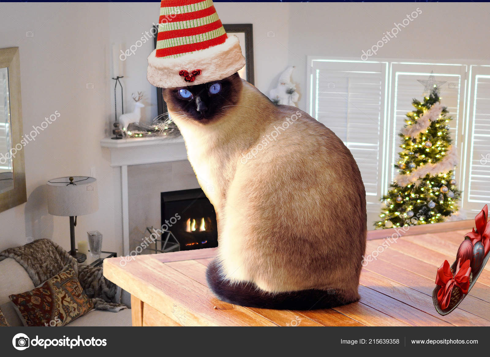 Christmas Cute Funny Cat Wearing Elf Hat Sitting Table Decorated