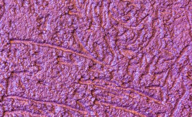 Serin modern parlak ışık pembe grenli duvar arka plan dokusu