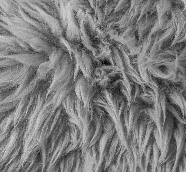 Weiß Grau Weich Haarig Tierfell Retro Makro Nahaufnahme Textur Hintergrund — Stockfoto