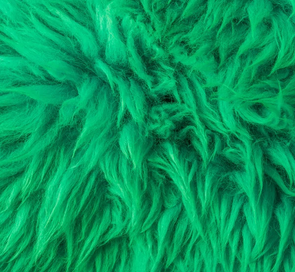 Moderne Grüne Weiche Haarige Tierhaut Makro Nahaufnahme Textur Hintergrund — Stockfoto