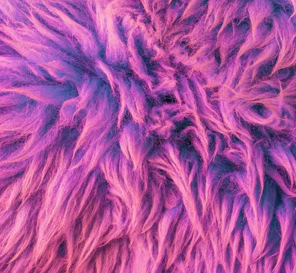 Moderne Couleur Pourpre Doux Poilu Peau Animale Tapis Macro Gros — Photo