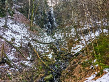 Orman manzarası ile buz sarkıtları ve akış su Wasserfall Almanya'da biraz donmuş bir şelale
