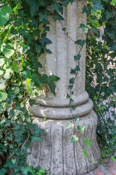 Vacker Trädgård Dekorativa Grekisk Romersk Sten Historiska Pelaren Bevuxen Med — Stockfoto