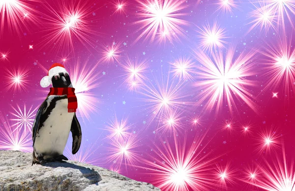 Веселого Рождества Смешной Пингвин Шаль Шляпе Санта Клауса Изолированные Красочном — стоковое фото