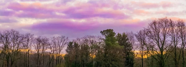 天气现象 粉红色和紫色极地平流层云在天空中 森林景观背景 — 图库照片