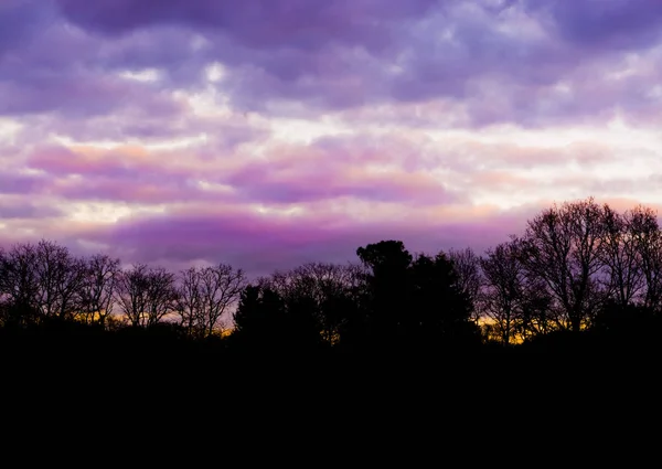 Paisaje Forestal Con Nubes Nacrucas Color Rosa Púrpura Colorido Efecto — Foto de Stock