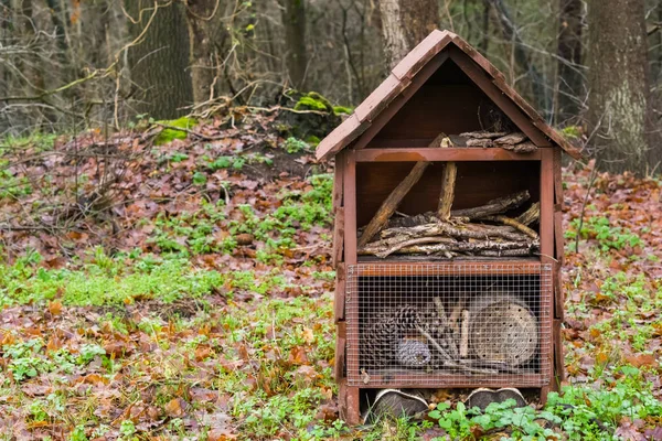 Houten Insecten Huis Staande Het Bos Mooie Natuur Decoratie — Stockfoto