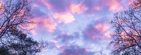 Nubi Stratosferiche Polari Rosa Viola Effetto Nel Cielo Che Volte — Foto Stock