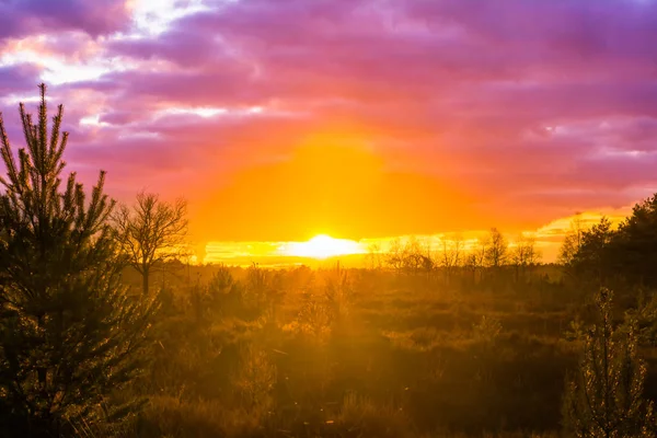 Puesta Sol Paisaje Páramo Con Nubes Nacreosas Rosadas Raro Fenómeno — Foto de Stock