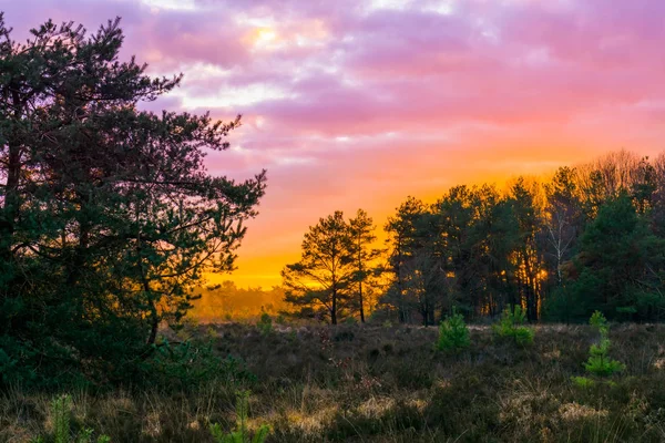 Ηλιοβασίλεμα Ένα Τοπίο Του Δάσους Heather Πολικά Στρατοσφαιρικά Νέφη Ένα — Φωτογραφία Αρχείου