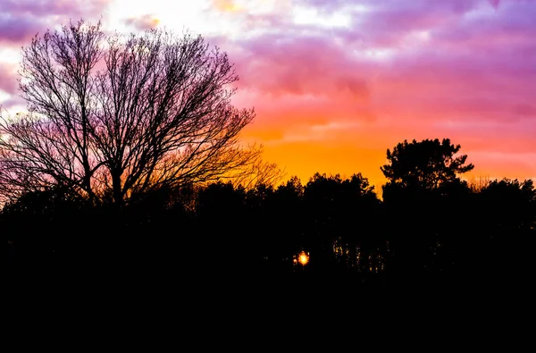 Sonnenuntergang Einer Waldlandschaft Schafft Dunkle Silhouette Der Landschaft Sonnenuntergang Bemalt — Stockfoto