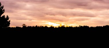 moorland manzara gökyüzü ve bulutlar turuncu ve pembe renklerde vererek günbatımı, gün batımı, ormandaki silüeti