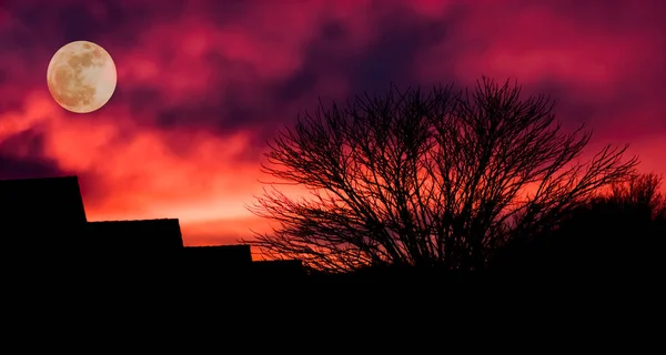 Dark Silhouette Village Tree Blood Red Clouds Moon Darkness Halloween — Stock Photo, Image