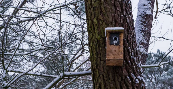 Houten Vogelhuisje Aan Een Boomstam Tijdens Het Winterseizoen Besneeuwd Boslandschap — Stockfoto