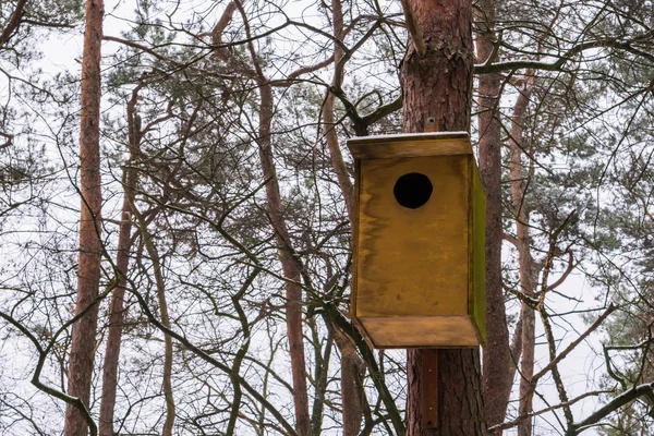 Close Van Een Eenvoudig Houten Vogelhuisje Hangend Aan Een Boomstam — Stockfoto