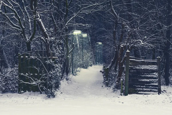 creepy forest road with lighted lampposts on a dark and snowy winter night