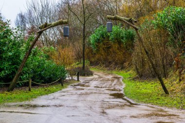 Yağmurlu bir günde çamurlu orman yolu, tahta direklere asılı eski fenerler dekorasyon ve ışıklandırma olarak, ormandaki manzara
