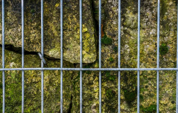 Metal basket filled with big mossy rocks, beautiful garden decoration, natural background — Stock Image Metal Basket Filled Big Mossy Rocks Beautiful Garden Decoration Natural Stock Picture