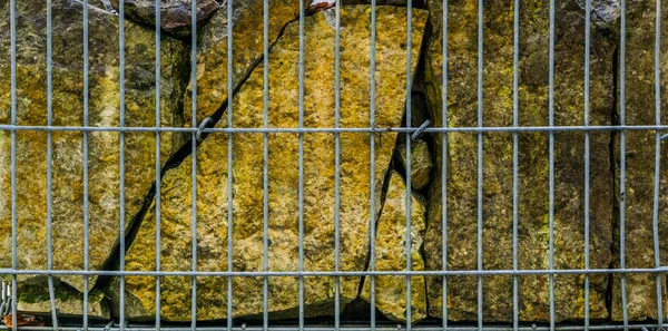 Big stones behind a metal fence, beautiful garden decoration, natural background — Stock Image Big Stones Metal Fence Beautiful Garden Decoration Natural Background Royalty Free Stock Images